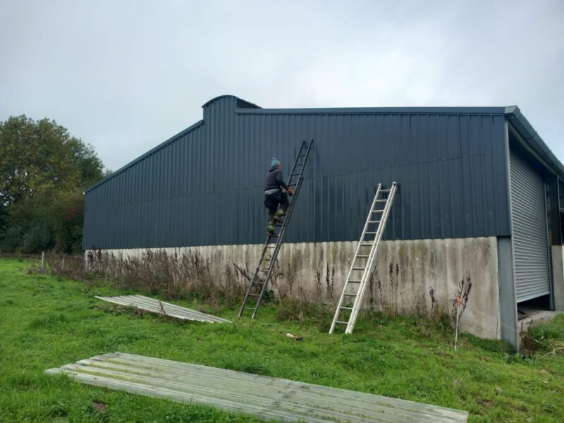 Farm Shed Painting